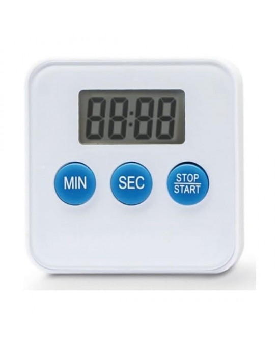 LIT Digital timer